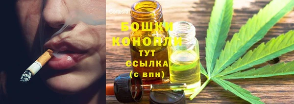 дурь Медвежьегорск