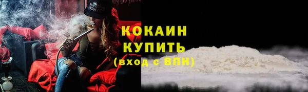 дурь Медвежьегорск