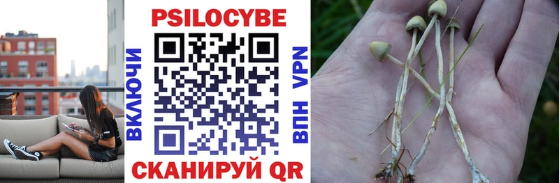 Галлюциногенные грибы Psilocybine cubensis  Конаково 