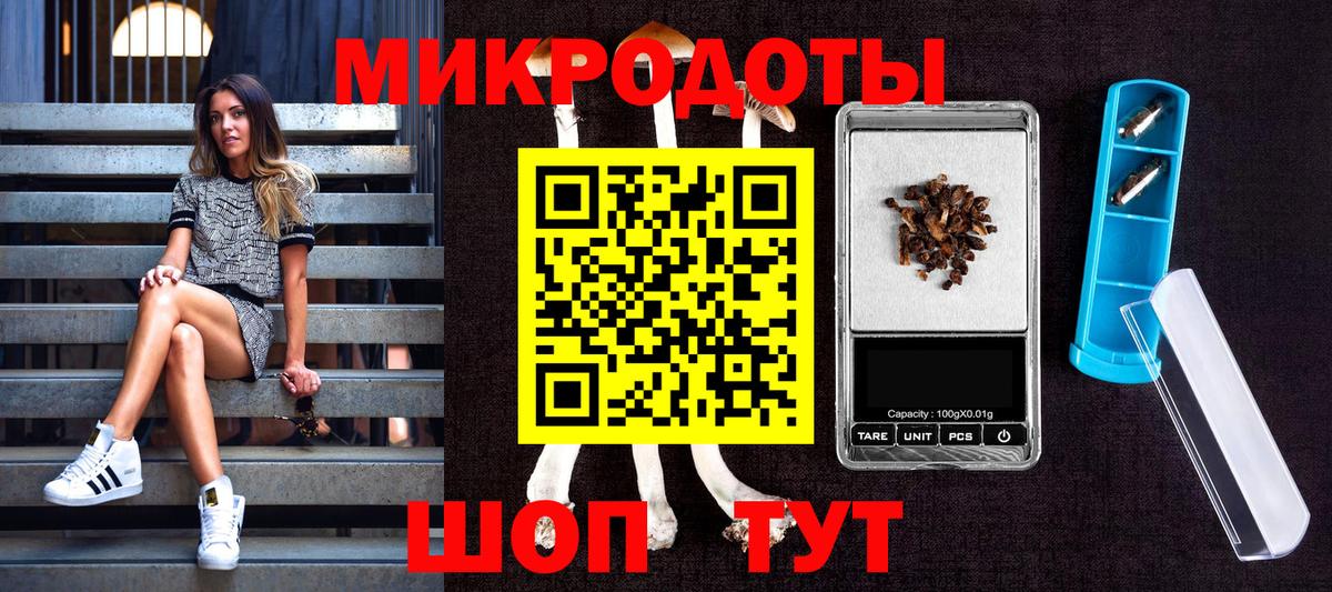 Псилоцибиновые грибы MAGIC MUSHROOMS  Вход с VPN  Конаково 