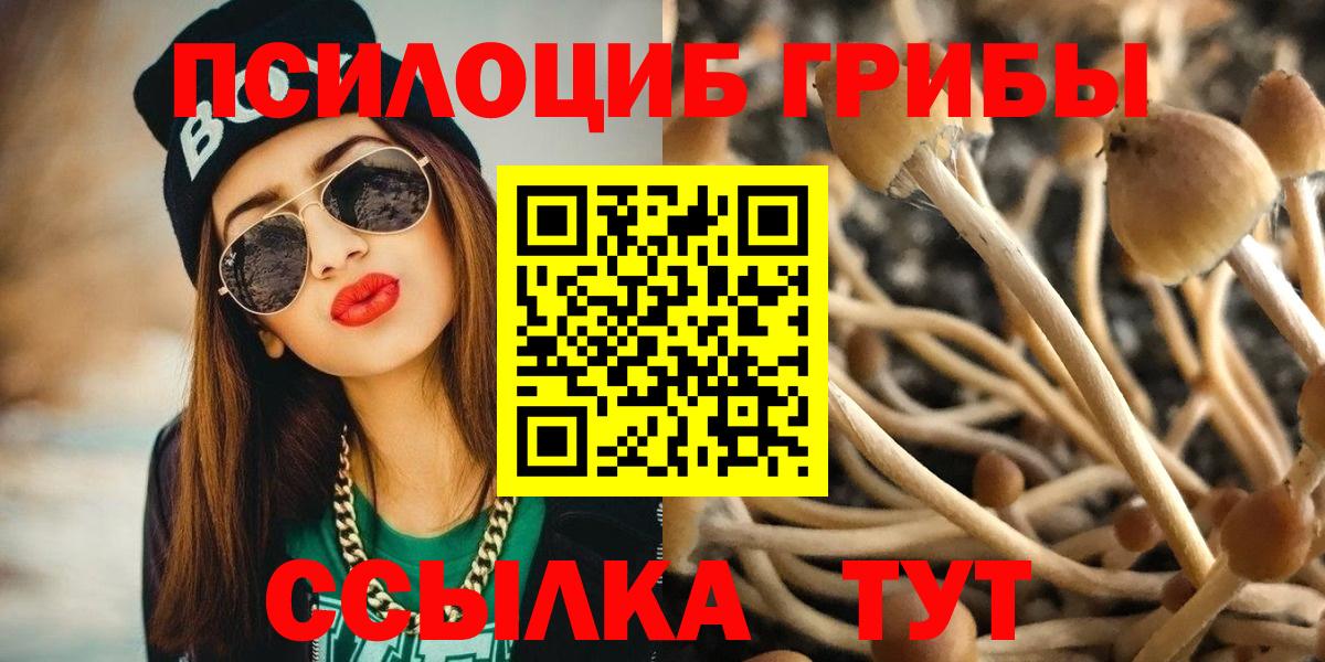 Псилоцибиновые грибы Magic Shrooms  Конаково 